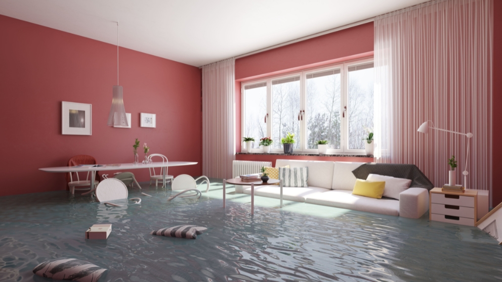 What to Do Immediately After Water Damage: A Step-by-Step Guide